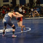 DSC_0045 (600x399)