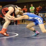 DSC_0106 (600x399)