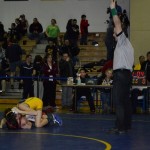 Class AA wrestling (8)