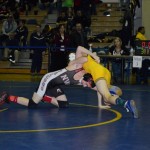 Class AA wrestling (9)