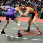 DSC_0012 (600x399)