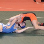 DSC_0033 (600x399)