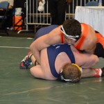 DSC_0223 (600x399)