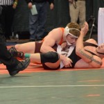 DSC_0232 (600x399)