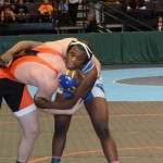 DSC_0240 (600x399)