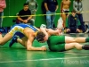 Lew Port wrestling tournament (110)