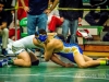 Lew Port wrestling tournament (130)