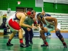 Lew Port wrestling tournament (199)