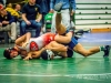 Lew Port wrestling tournament (79)