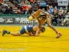 NYSPHSAA Wrestling Finals (45).jpg