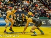 NYSPHSAA Wrestling Finals (99).jpg