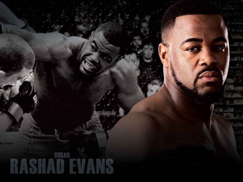 Rashad Evans 