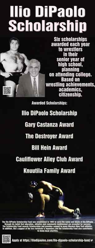 Ilio DiPaolo Scholarship