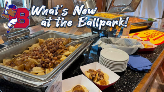 Buffalo Bisons  The Ballpark Guide
